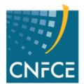 Logo_CNFCE